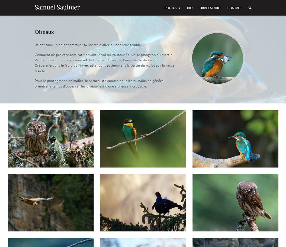 Galerie de photos - webdesign pour le photographe Samuel Saulnier