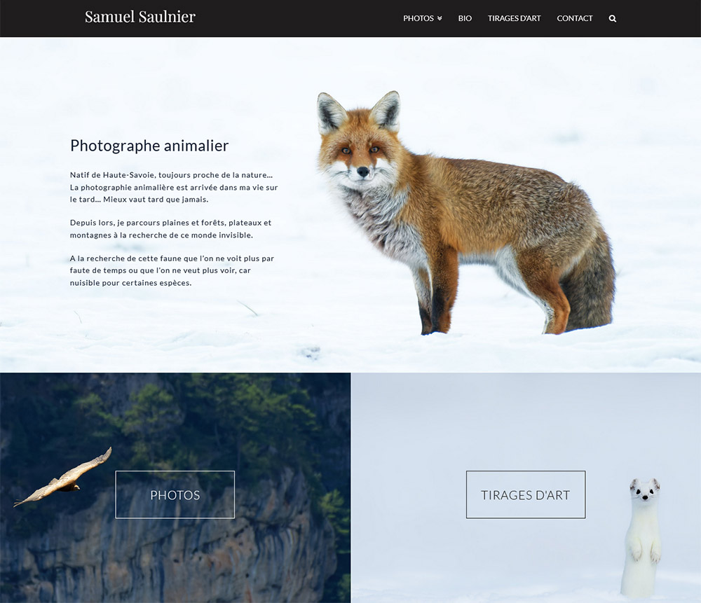 Wildlife photographer website design - Samuel Saulnier